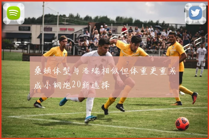 桑顿体型与洛瑞相似但体重更重或成小钢炮20新选择
